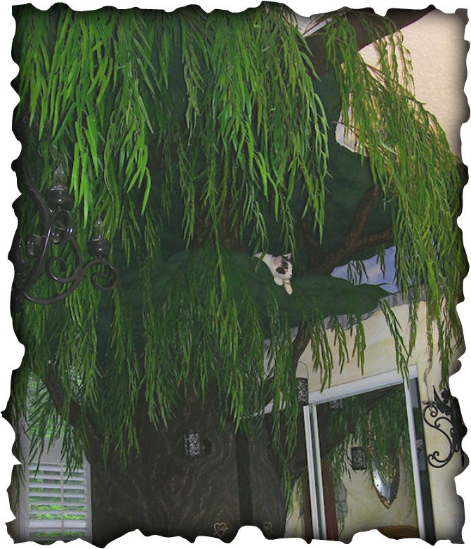 Luxury Cat Trees for Spoiled Rotten Kitties Worlds's Largest Custom