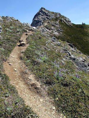 Steep trail up to Gastineau Peak
