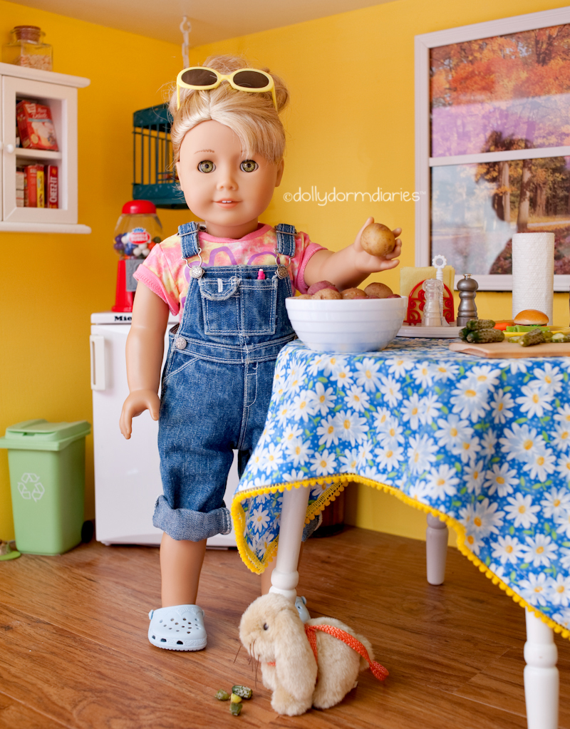 American Girl Doll Blog and Photo Stories