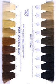 Wella Colour Chart Numbers