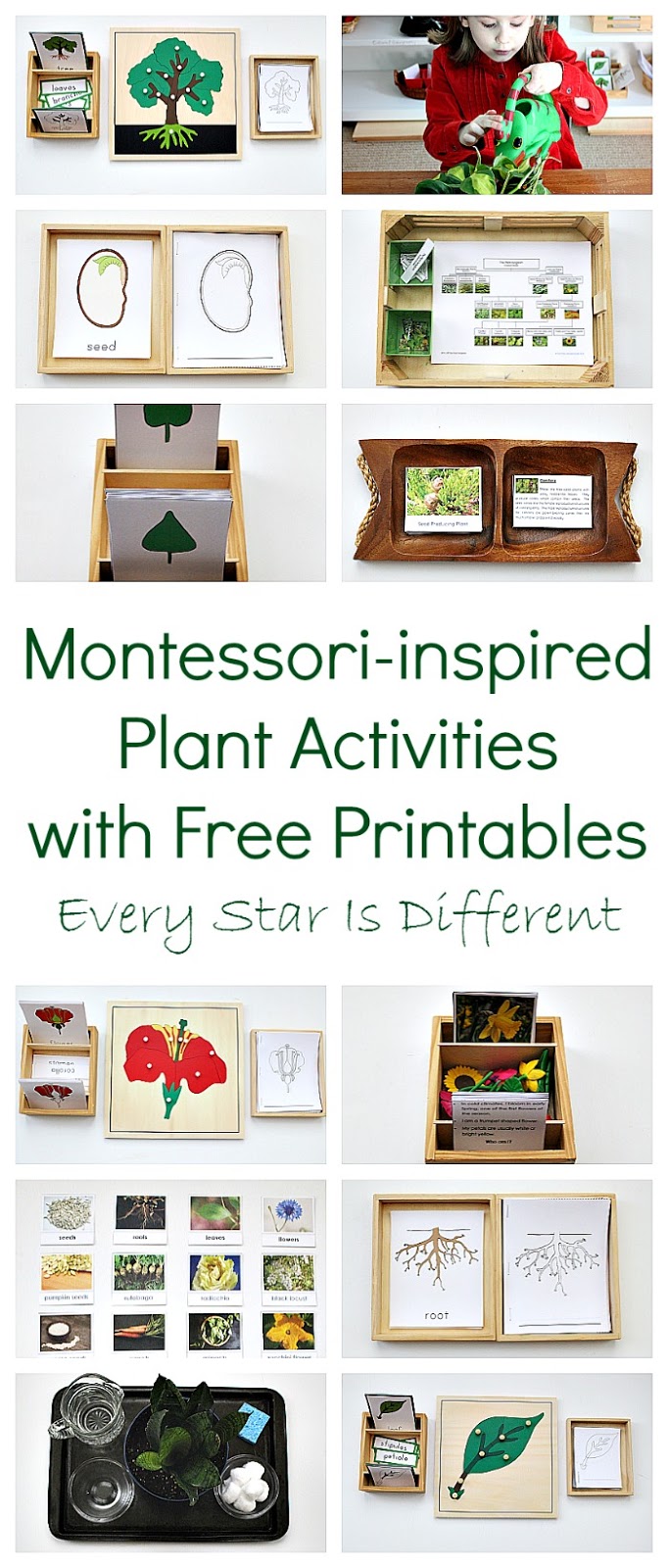 🪴 Garden Activities Bundle  Montessori Printables by Carrots Are