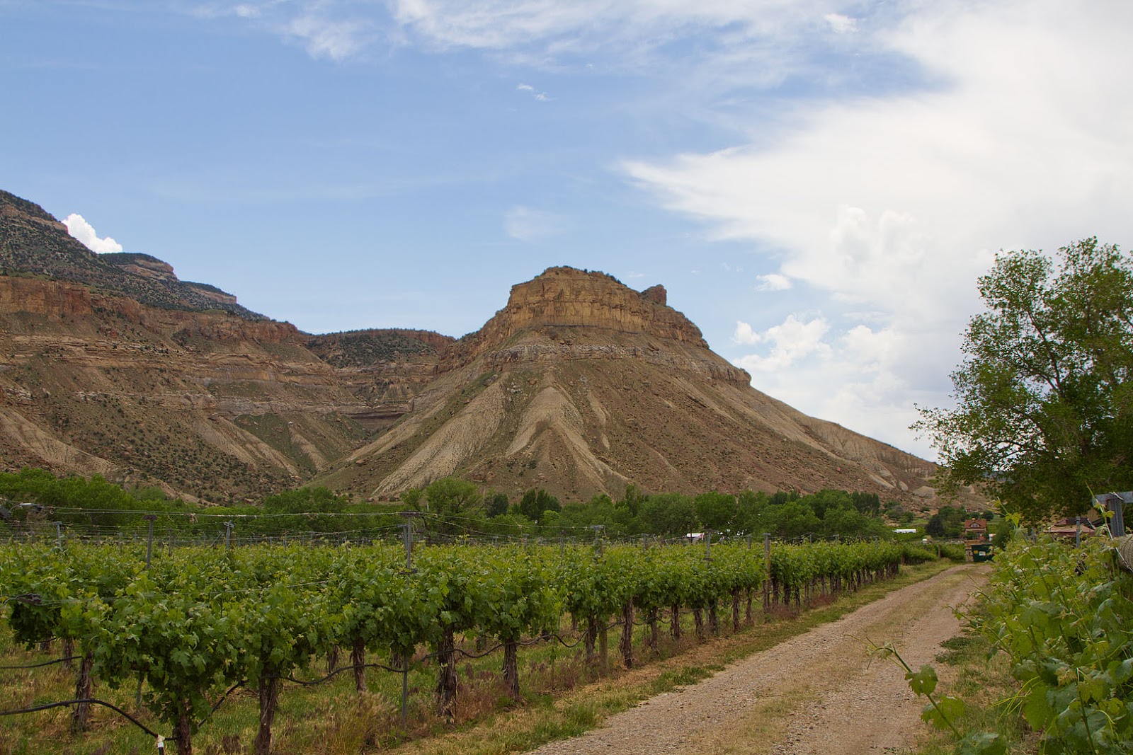 Stan's Travels Palisade, CO (5/29/2016)