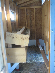 chicken coop roosting texas dallas building backyard parents