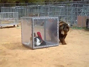 이해하기 힘든 열도의 예능