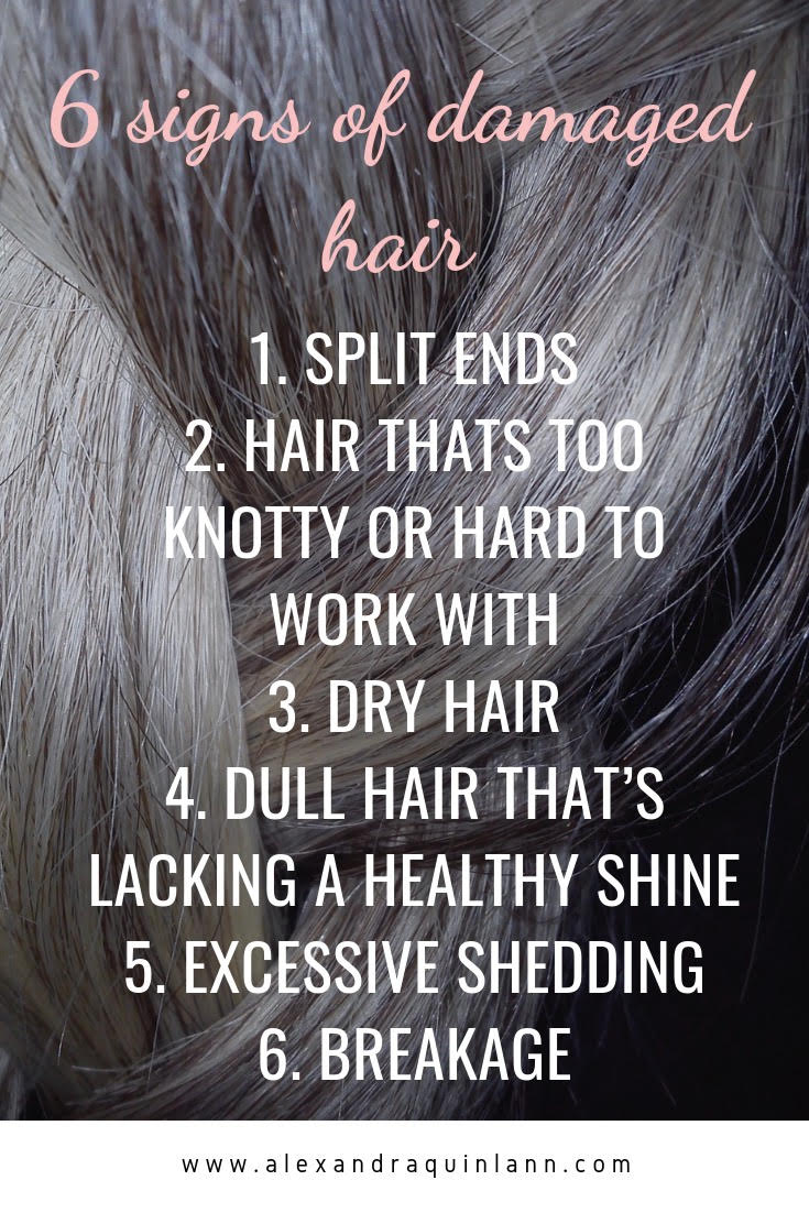 The 6 Signs of Damaged Hair + The 5 Amazing Products That Saved Mine