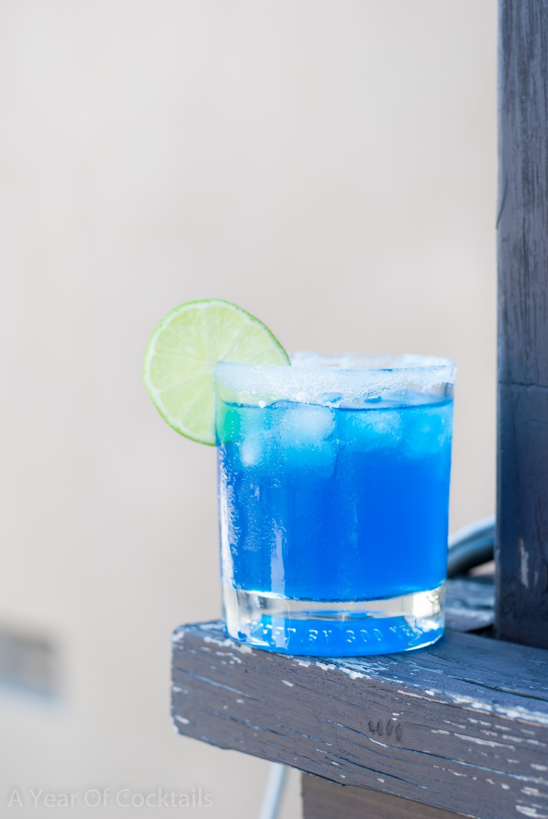 TMNT Leonardo A Year of Cocktails