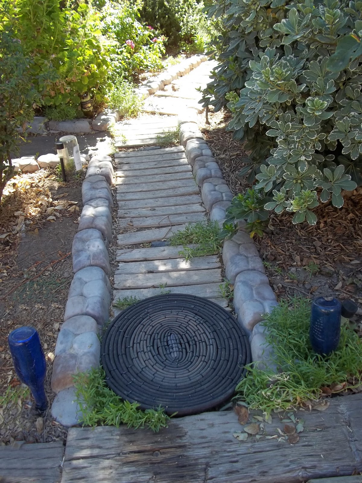 Dragonfly Treasure Garden Hose Recycle