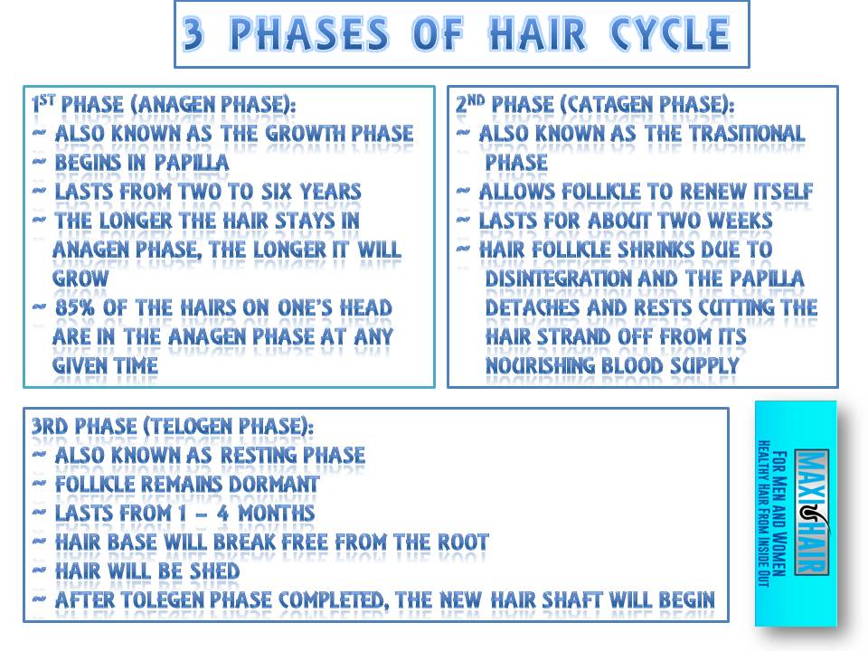 Saya Dan Maxi Hair Biotin Human Hair Phase