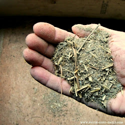 coop deep chicken litter winter composting pile compost aka method