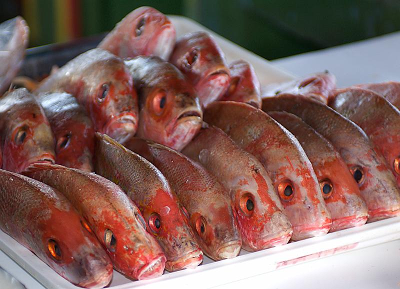 Looking and seeing seafood labels