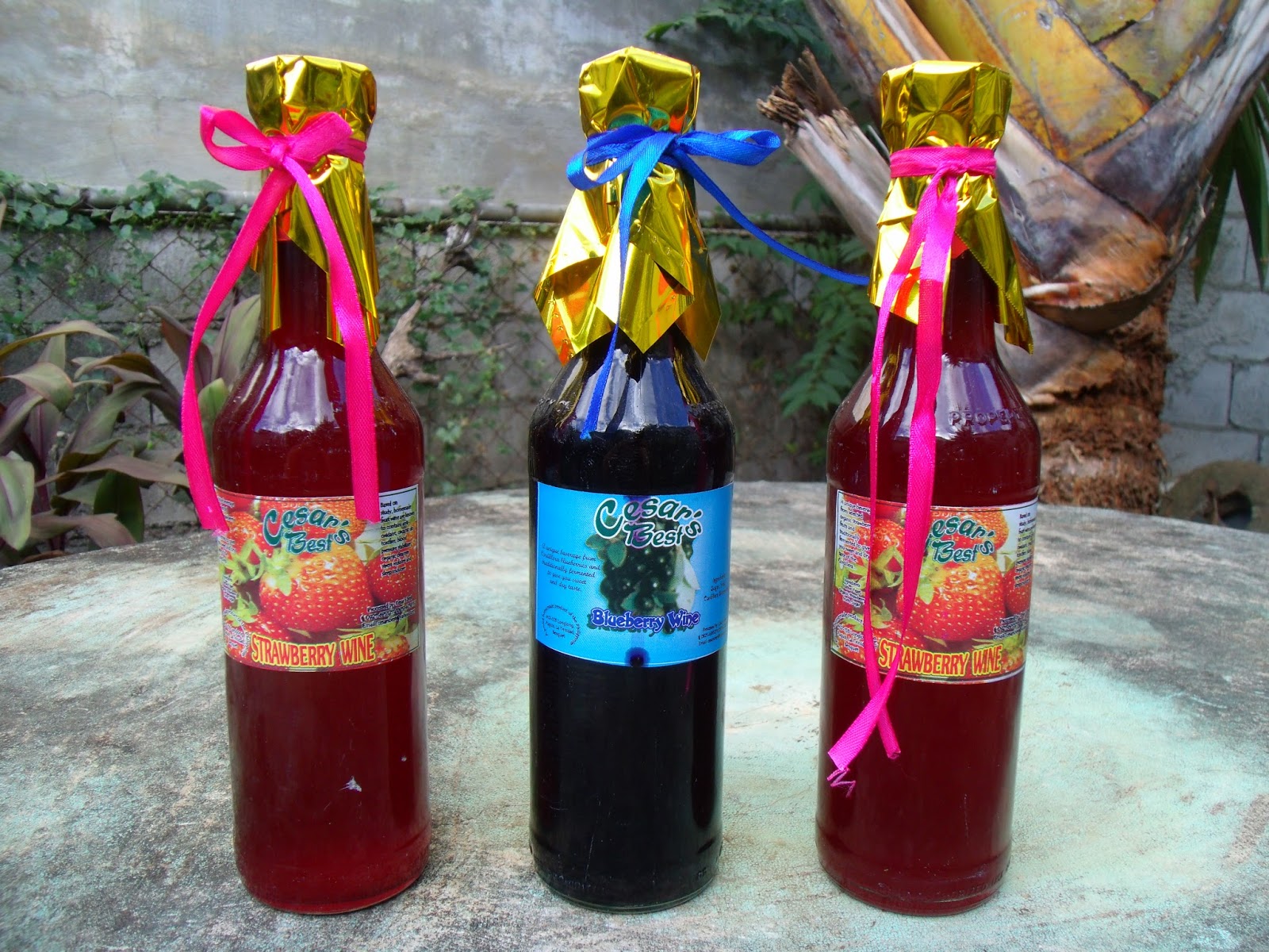 Green Thumb The things I brought home from Baguio!