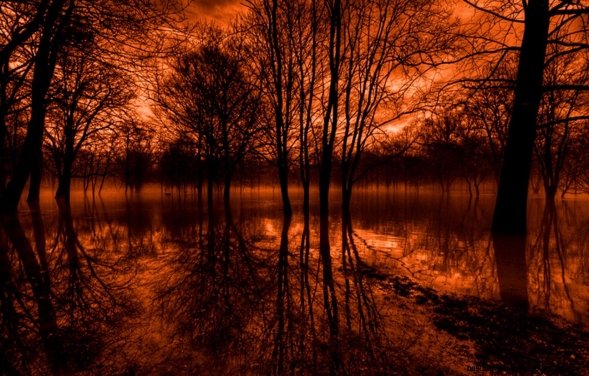 479 Scenic HD Wallpapers  Backgrounds   Wallpaper Abyss