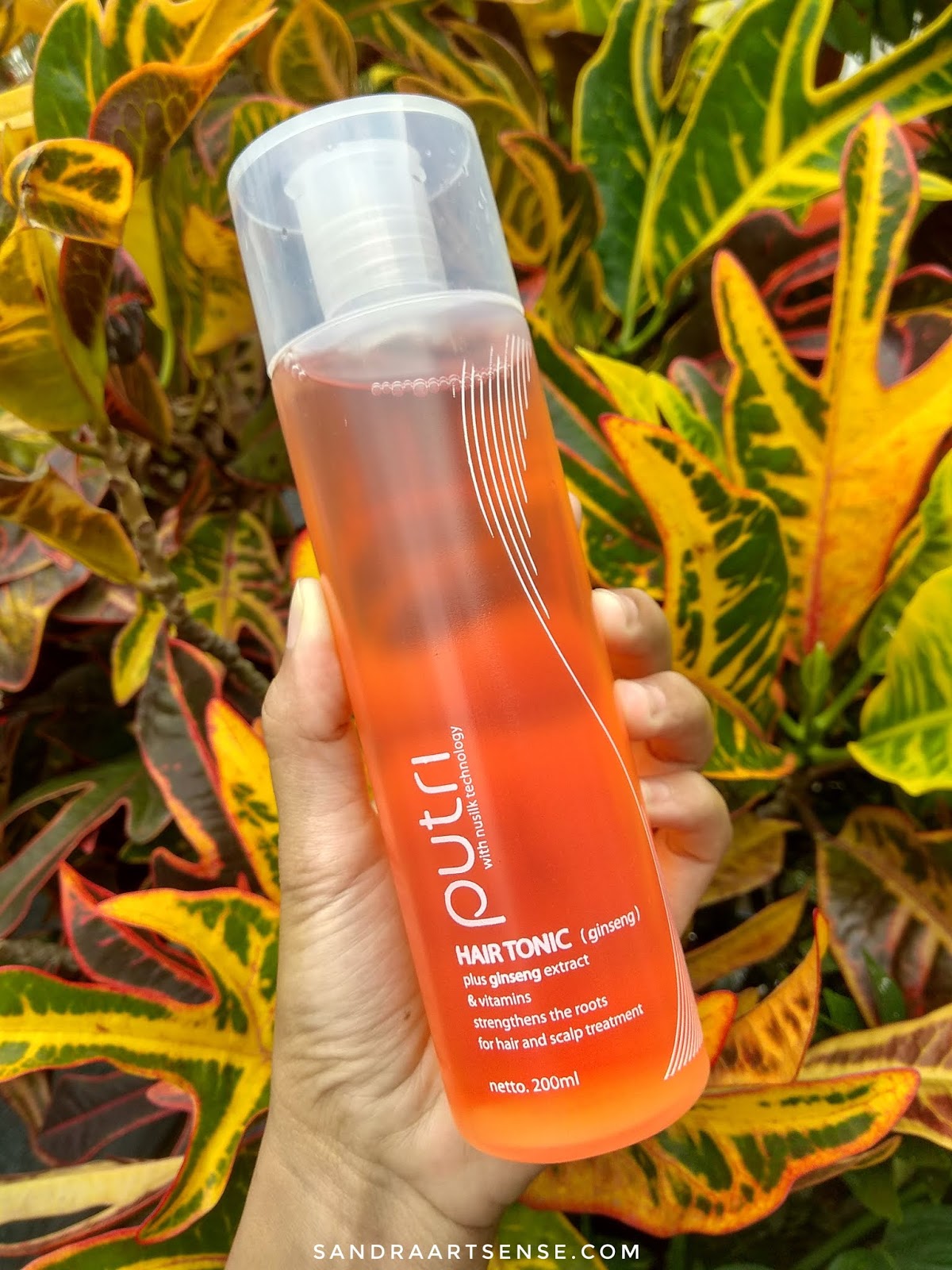 Sandraartsense Com Review Putri Hair Tonic Varian Ginseng
