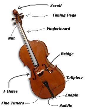 rociar orar Destino The Parts of Cello | Music Zone