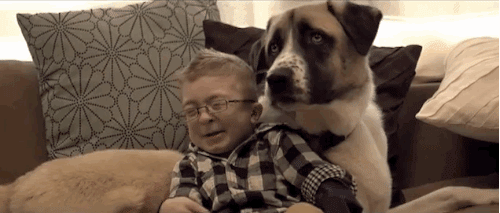 La historia de amistad entre un perro mutilado y un niño enfermo.