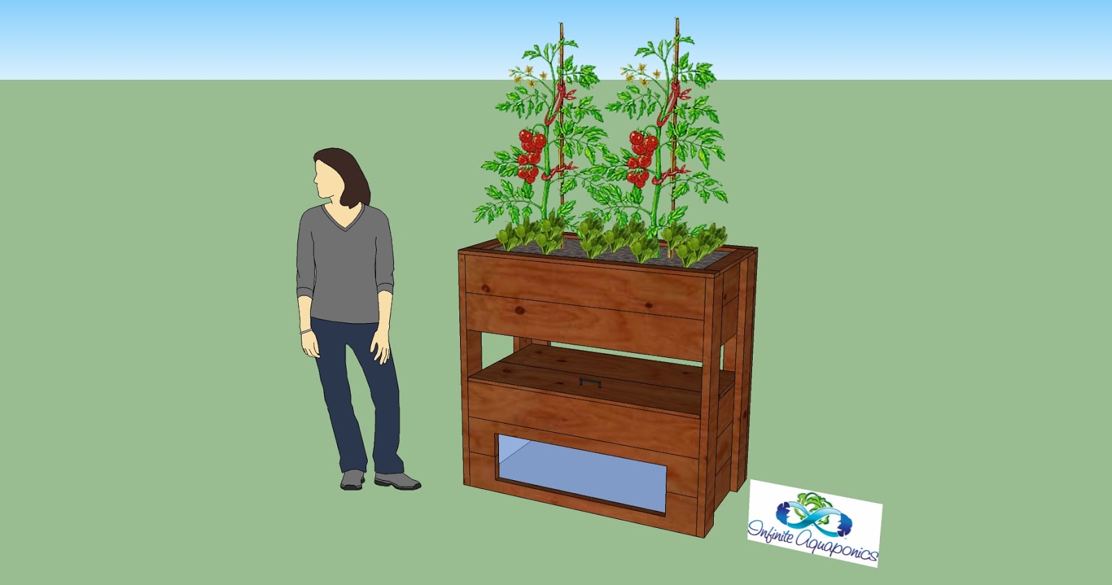 Diy Aquaponics System Plans : What Is Aquaponics And How Is It Revolutionizing The Way We Grow Food
