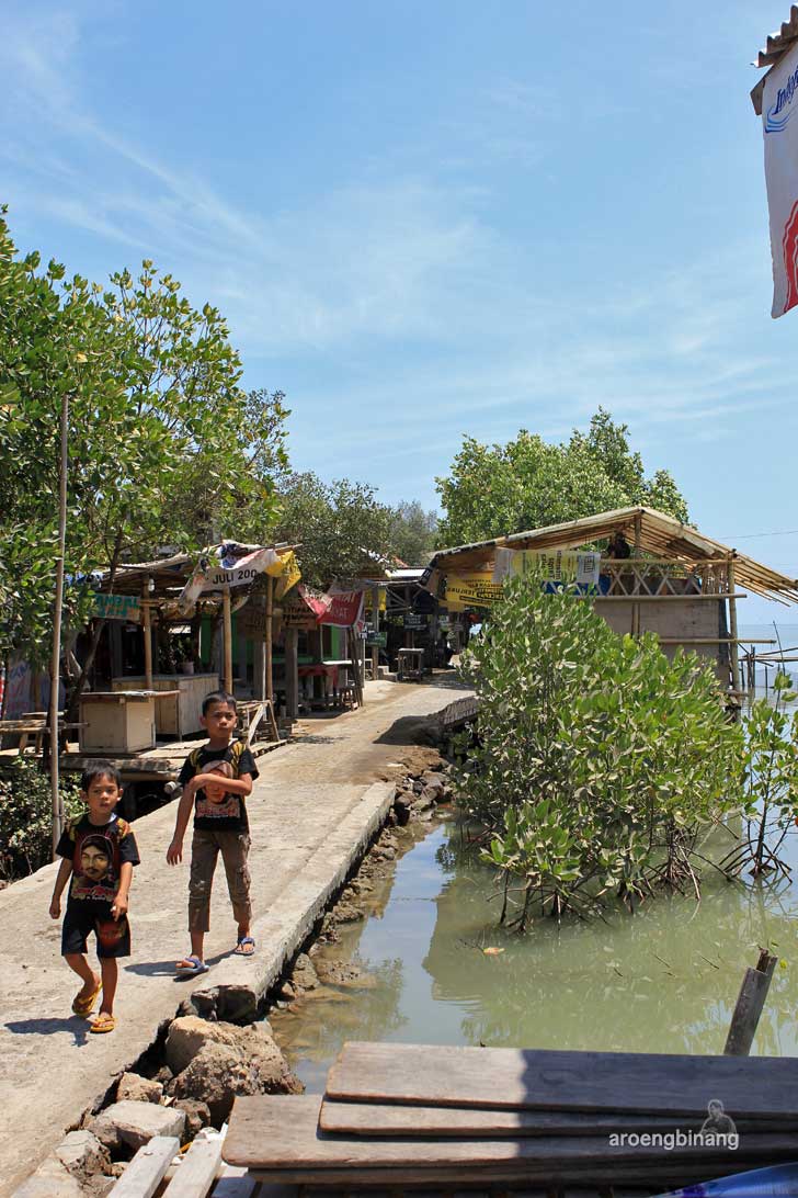taman mangrove morosari demak