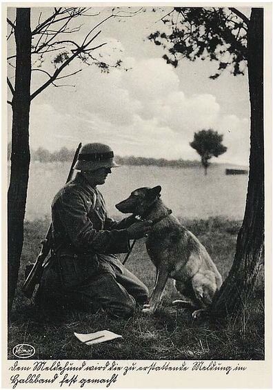 dogs World War II worldwartwo.filminspector.com