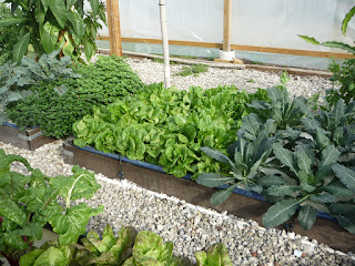 Helpful Ideas and Tips of Organic Gardening Helpful Ideas and Tips of Organic Gardening