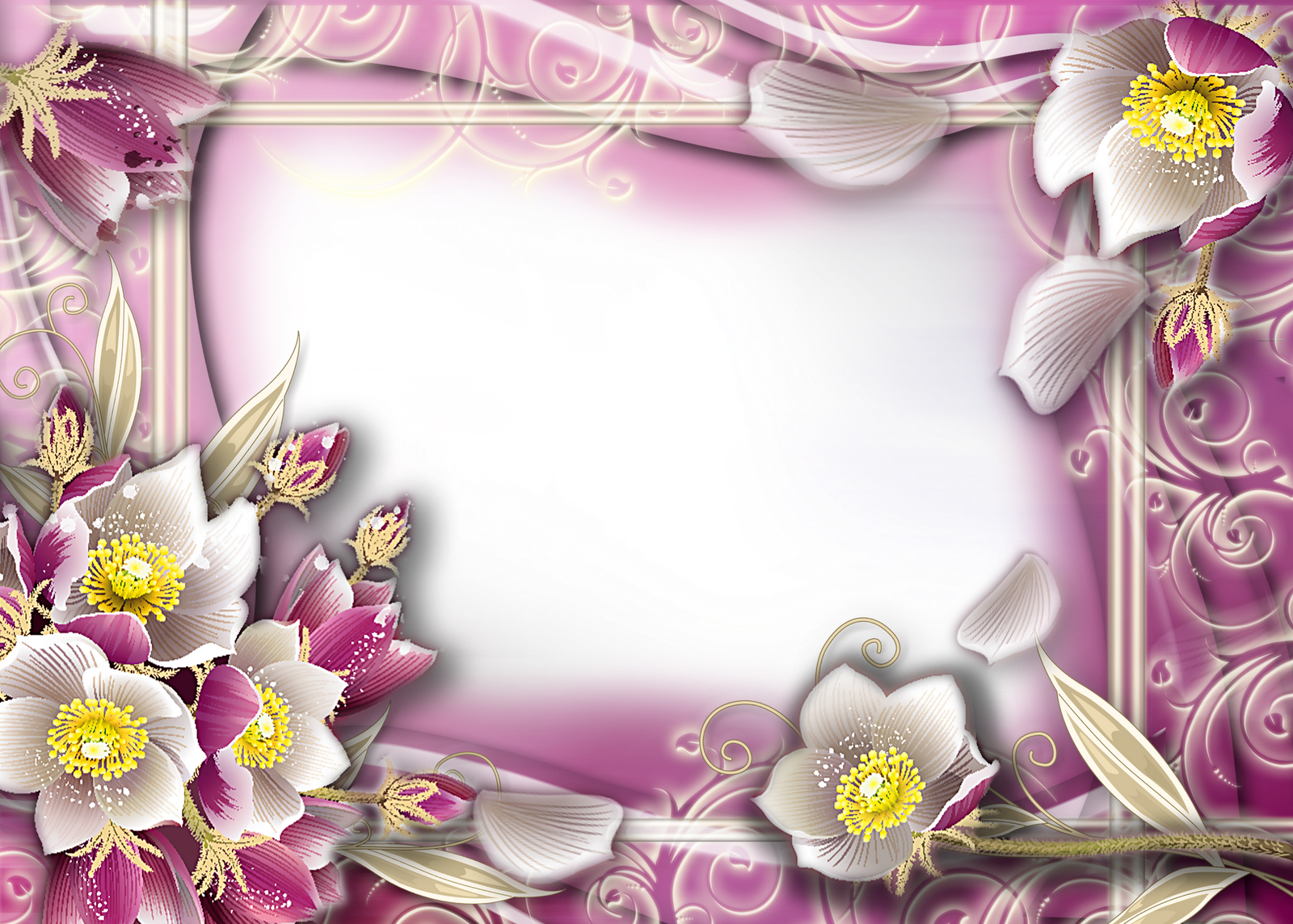 Flowerspng Flores Frames Png Flowerspng flores frames png