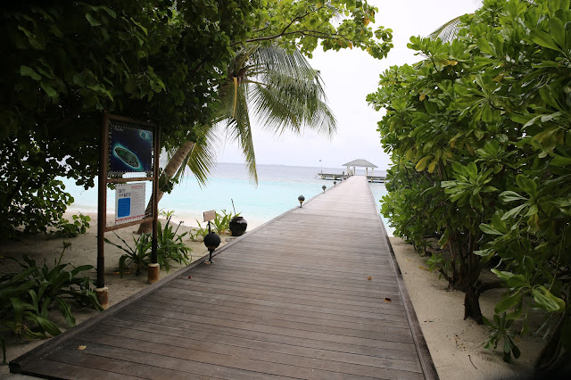 royal island resort maldives villa hotels