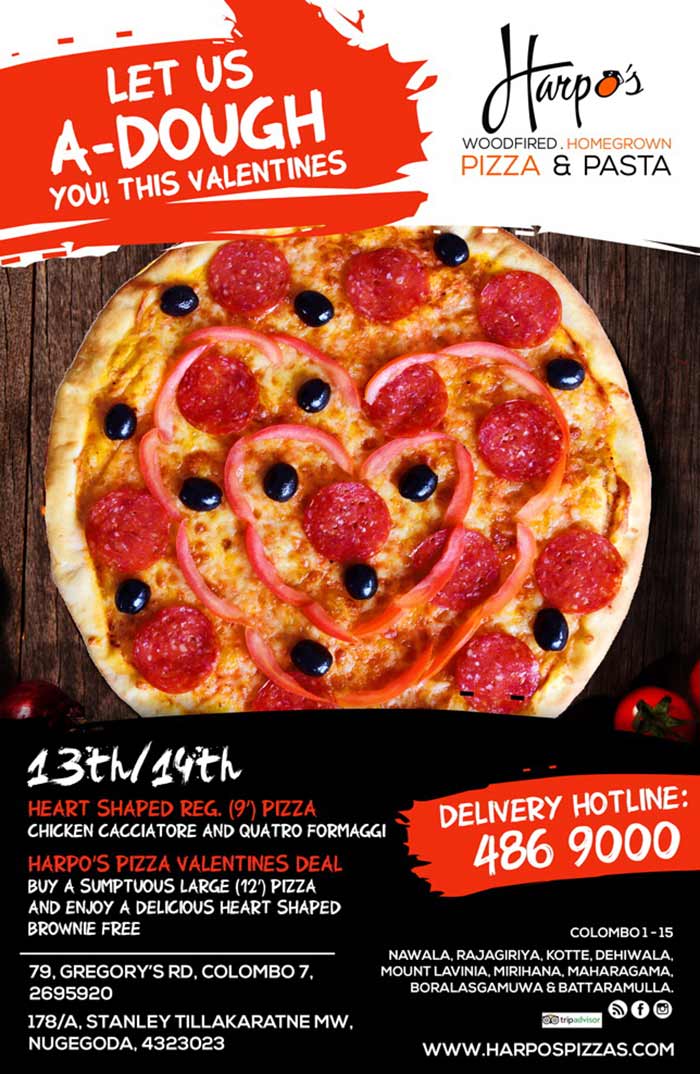 Harpos Pizza offers the best authentic Italian thin crust pizzas and now has the pleasure of presenting homemade wood fired pizzas for all to enjoy. 