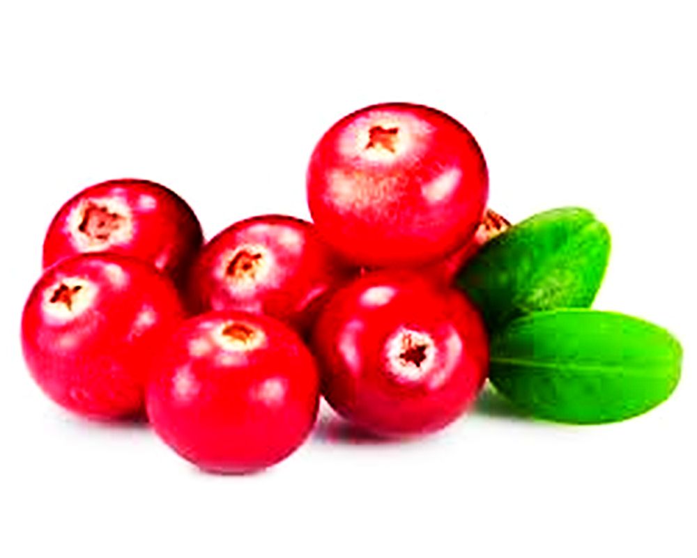 Baytec Containers Blog