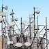 Telecommunication Masts Have No Harmful Emissions - Medical Expert