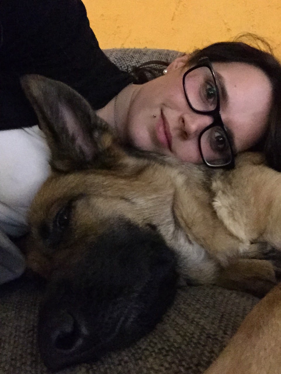 Hoflove Alltag und Hund Jana und Luna