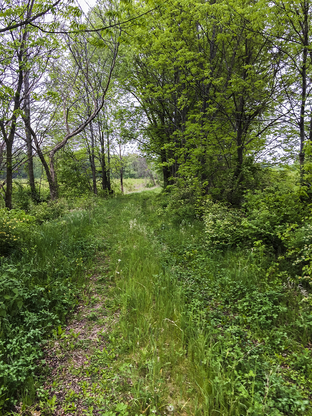 Griegol Gulch Baraboo WI