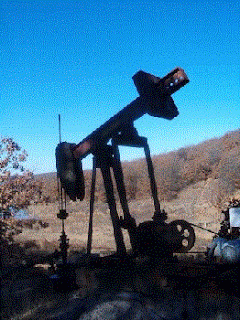 A pump jack in the wild