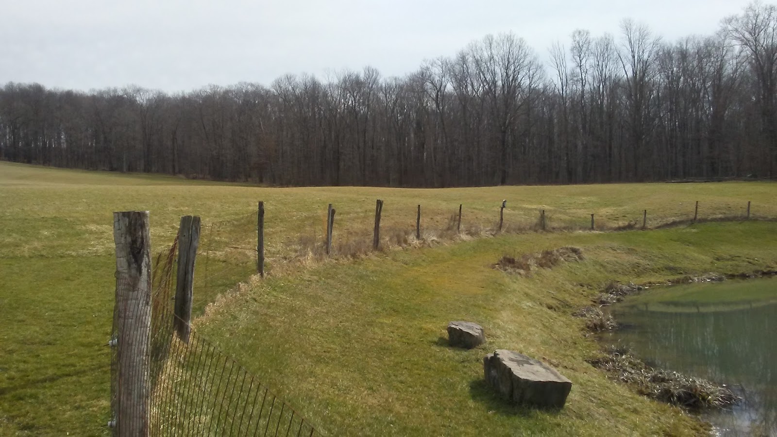 Valley Brook Farm Pond
