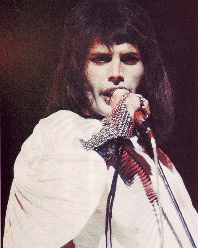 freddy mercury freddy mercury