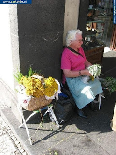 CITY / Ilha da Madeira, Funchal, Portugal