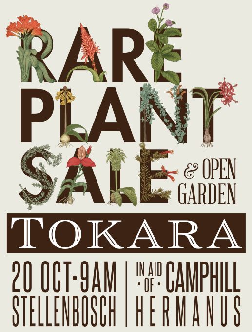 TOKARA opens its private gardens for the annual Rare Plant Sale South Africa
