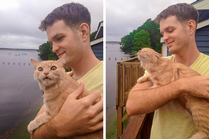 25 Hilariously Adorable Reactions Of Animals To Experiences They Had For The First Time