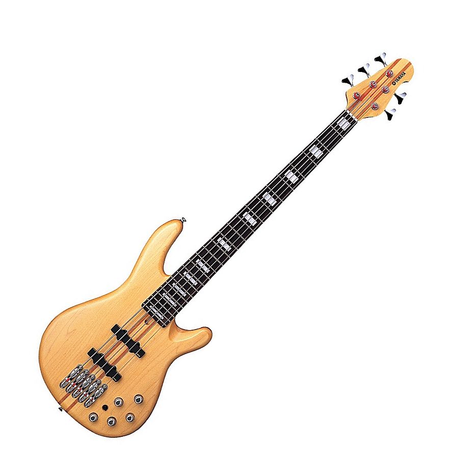 Bass Review For Bassist Yamaha BB2005 5 String Bass