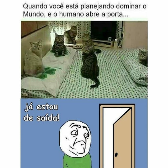 memes+engra%25C3%25A7ados+%252822%2529.j