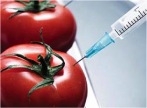 Geneticist David Suzuki Says Humans “Are Part Of A Massive Experiment” - GMO