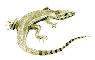 reptiles del carbonifero Archaeothyris