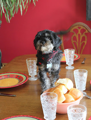 dog walking across dining table