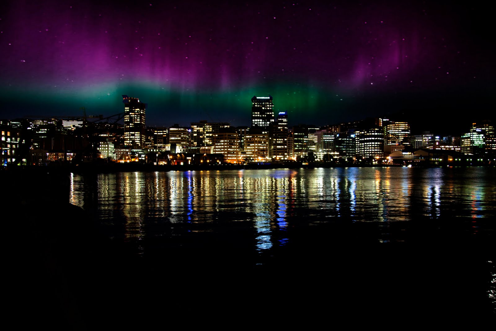 WELLINGTRON 2040 Southern Lights