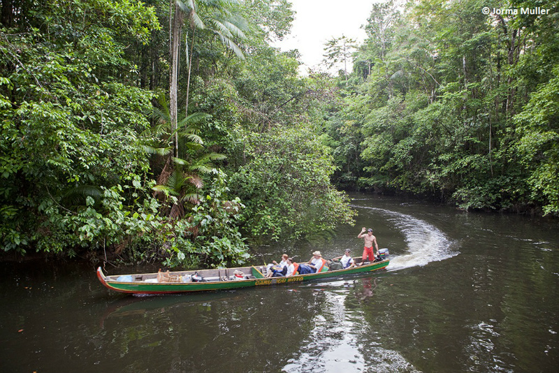 5 motivi per scegliere la Guyana francese come meta di un viaggio GIROVAGATE IDEE DI VIAGGIO 5 motivi per scegliere la Guyana francese come meta di un viaggio GIROVAGATE IDEE DI VIAGGIO