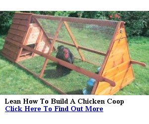 How To Build A Chicken Coop