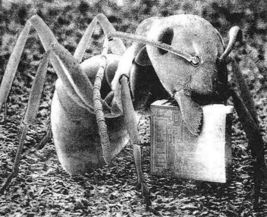 Monatomic Gold The Alchemy Philosophers Stone : Monatomic Gold The