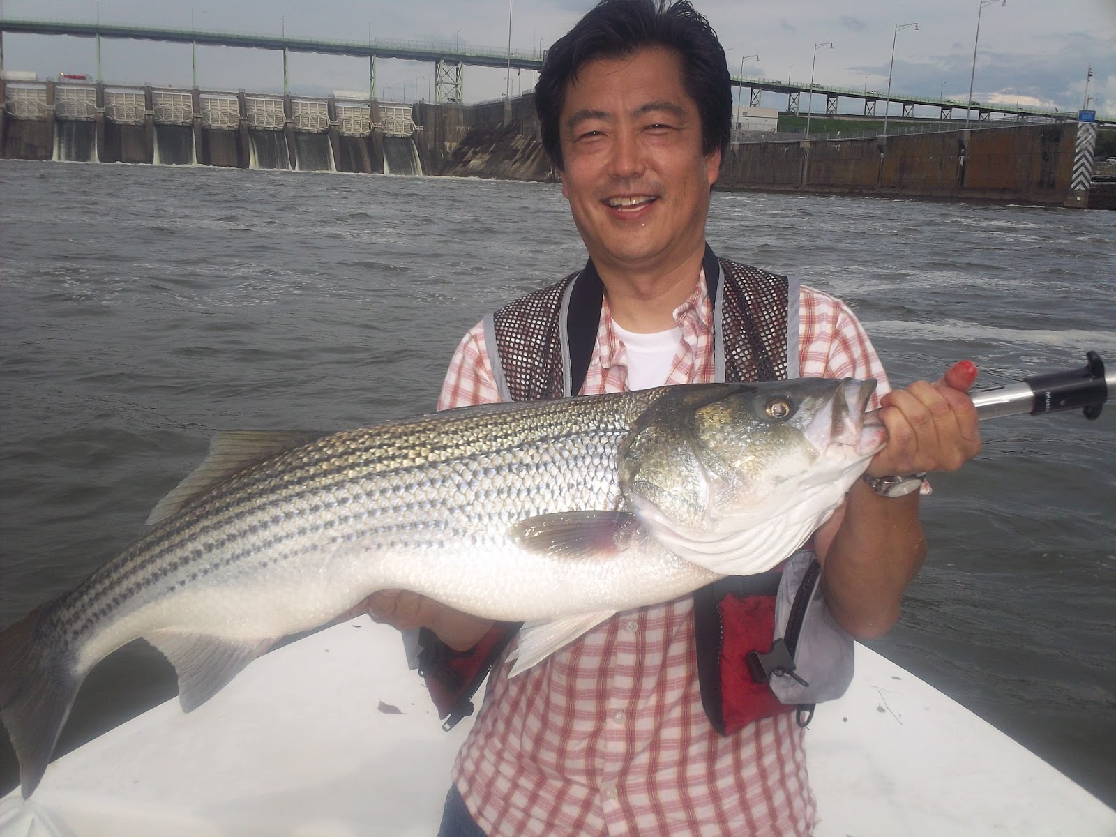 Fish On! Guided Tours. Knoxville, Tn Knoxville Tennessee's Premier