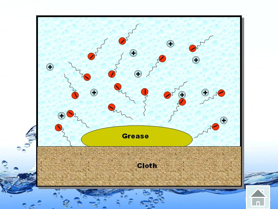 my chemistry Cleansing Action Of Soap and Detergent