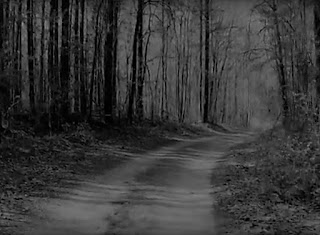 An image of Jack Cole Road, Hayden, Alabama taken at night with forests on side