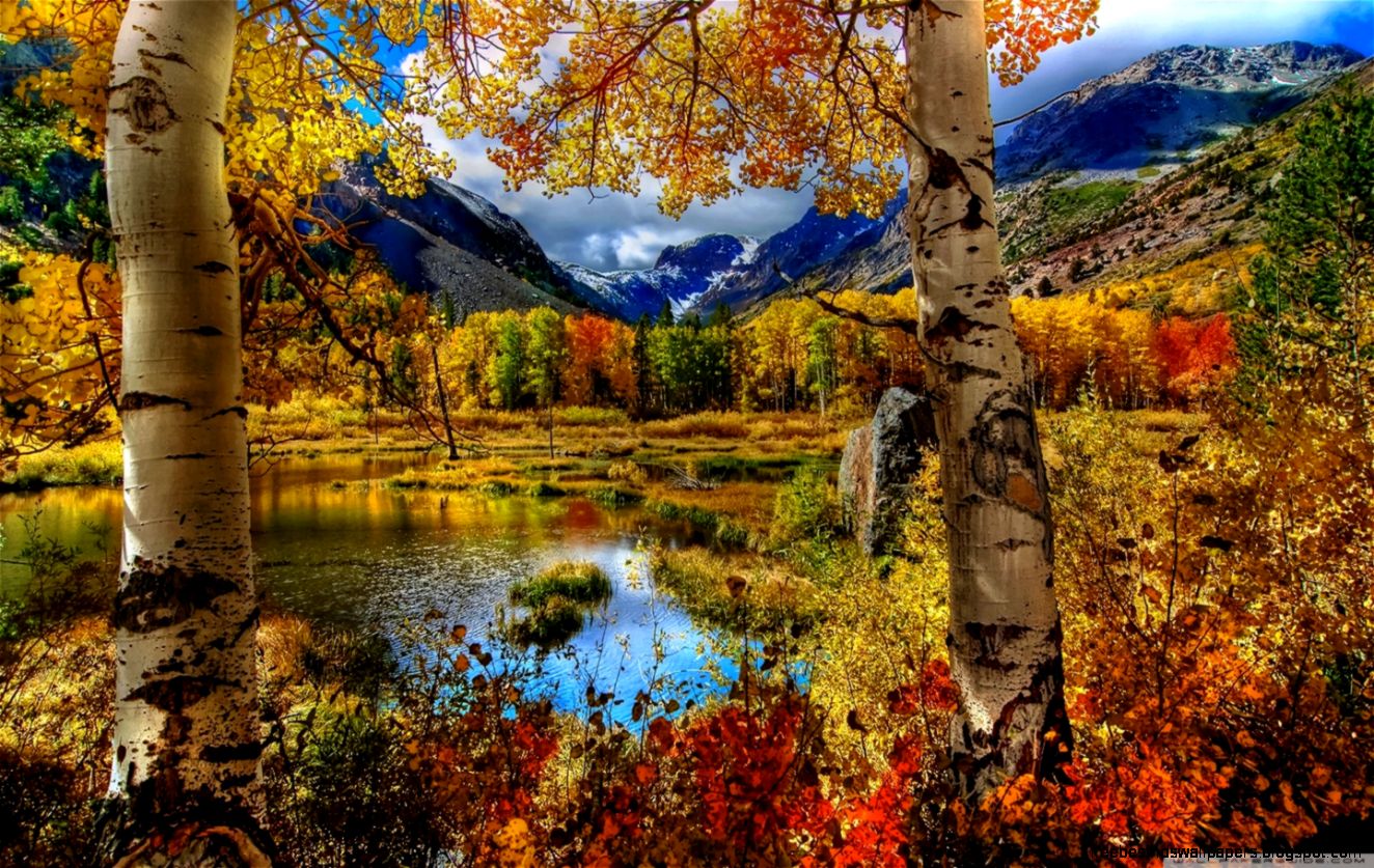 Perfect Autumn Scenery HD desktop wallpaper  High Definition