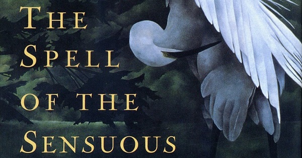 Book Review: The Spell of the Sensuous by David Abram